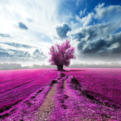 沙雕友好句子短1