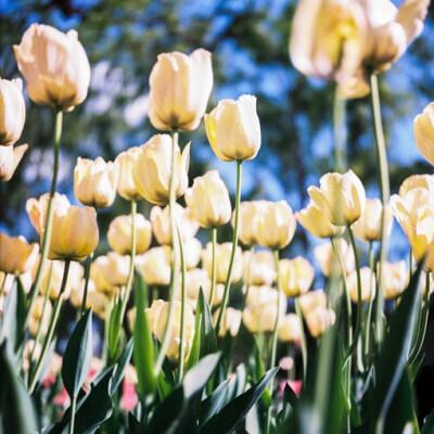 15，朋友是一秒钟。朋友是另一个朋友。