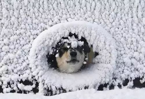 18，寒冷的波浪，天空分成两半，一半由西北风吹，另一半被干燥的秋风，西伯利亚高原大口，天空逐渐混合，下雨了风也走了，雪没有来，我们站在同一个天空下。