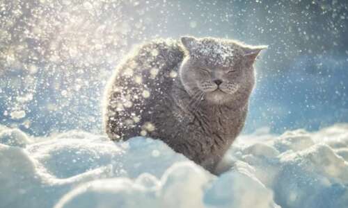 冷波击中了朋友圈谈到1