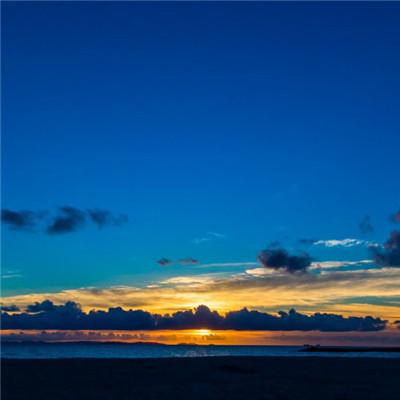 15，风吹了花，你的笑容震动，成为途中最美丽的装饰，看着天空，看着雪，看着深四个赛季。