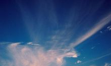 张爱玲友情的唯美句子