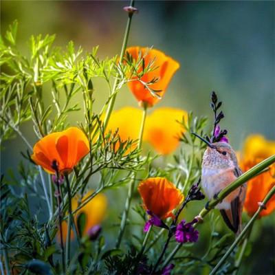 朋友之间的友谊