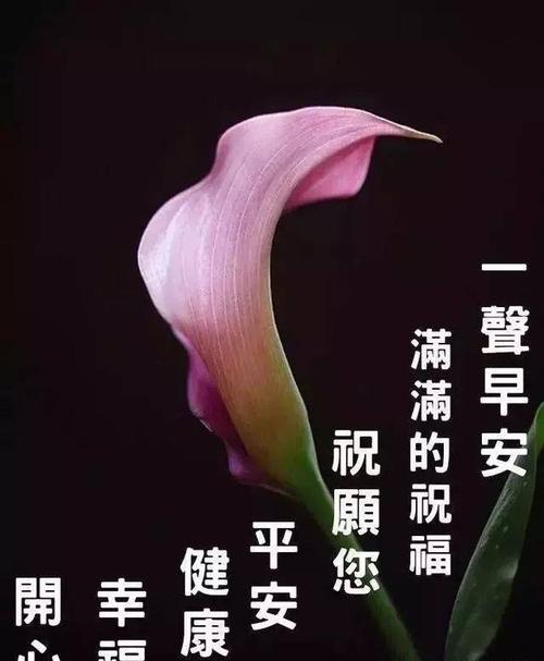 2021跨年微信祝福语