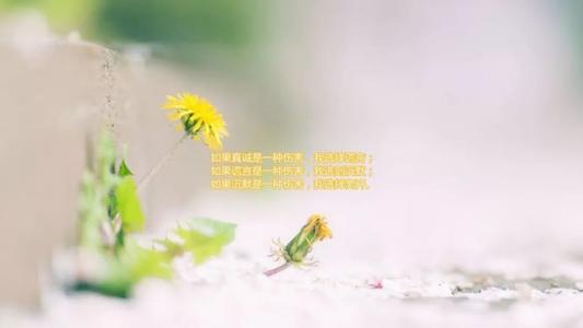 朋友圈说说的心情不好的句子