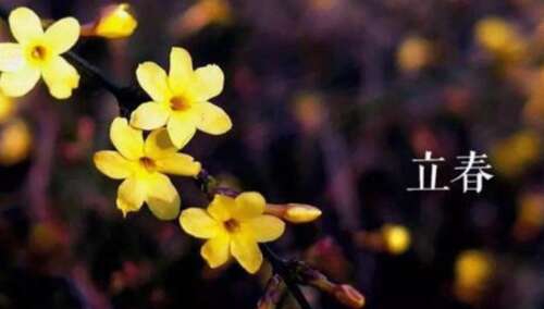 lichun温暖的心句