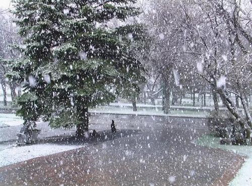 降雪冷却客户问候短信1