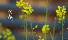 立春发的文案