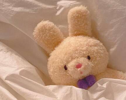 15.爱不是我的一生，工作就是。