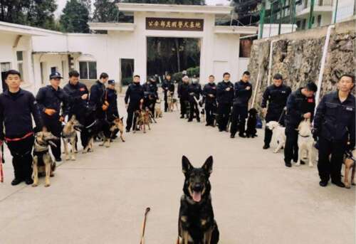 13.你总是如此持久，期待顺利审讯，当枪杀时拍摄的语言拍摄，揭开了一个丑陋的阴暗。