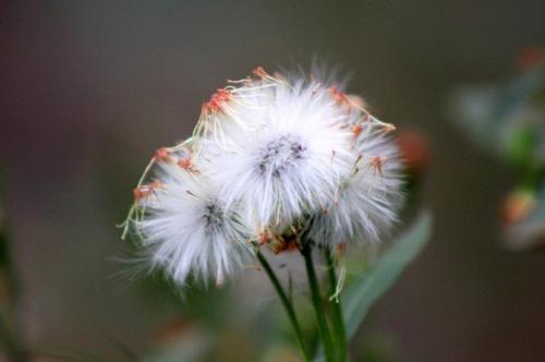 英文短信如何迎接1