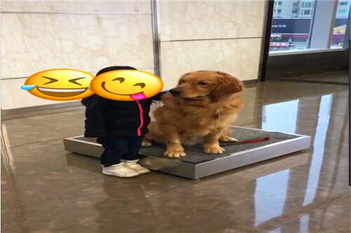 非常瘦和突出的句子