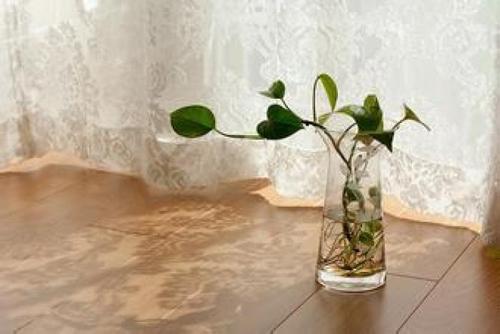 妻子，晚上，问候短信1