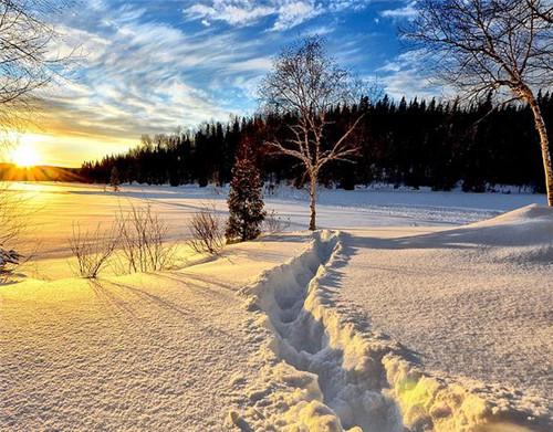 冬季健康问候短信大全1