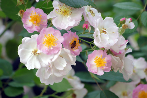 领导身体的短信的问候