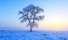 冬季养生问候短信大全