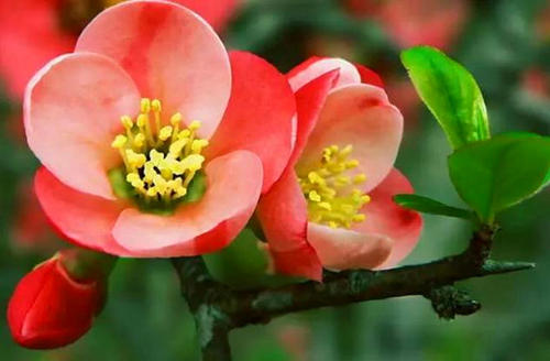 15.忙碌的日子让彼此疏远，但亲密的朋友终身令人难以忘怀;生活实际上只有三天：昨天，今天，明天。我希望你昨天值得回顾。今天，明天你会充满机会！祝你们一切都是一个快乐的端午节！