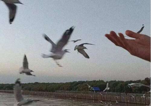 23，我想在未来与你新的一年，我会准备新的一年，买一个快乐和花生，买了一个大红字，写一个春天的夫妇，把家里的温暖，三十个华丽。烟花，看着春节晚上饺子，首先被鞭炮醒来，开始了一年的新生活。你看，生活，仍然长大。