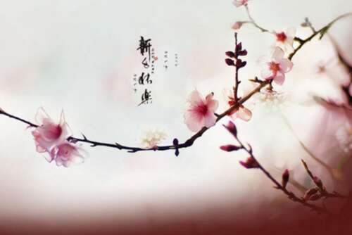 新年的问候简单经典