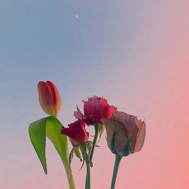 母亲生日是最亲密的，妈妈生日快乐问候1