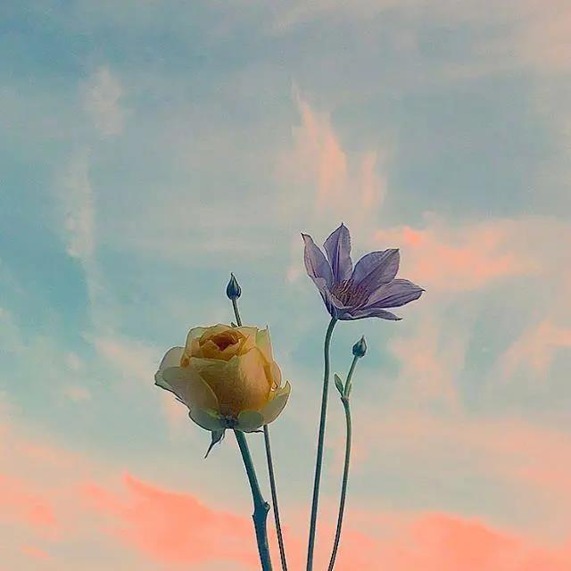 母亲生日是最亲密的母亲生日快乐的问候