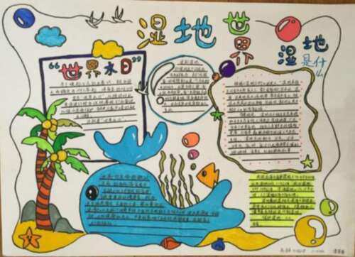 湿地日主题手写新闻内容源和大全湿地日的意义