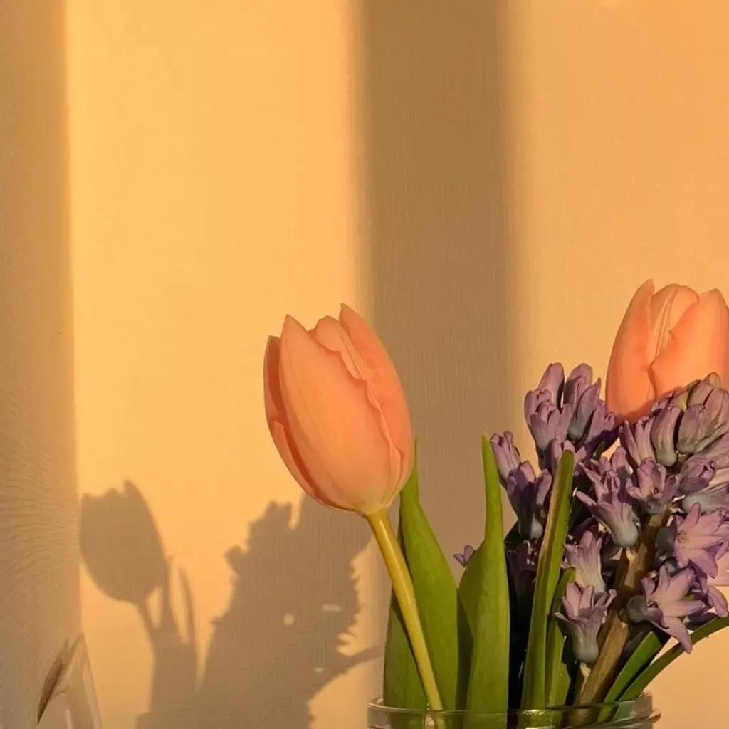 16，失败和困难是不可胜的，只要我们知道我们的方向！早上好，你。