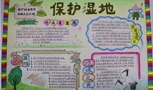 湿地日主题手抄报内容大全 湿地日的来源及意义