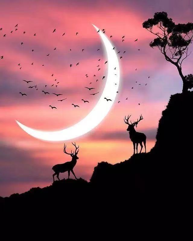 8个字符的暴君韵罗汉