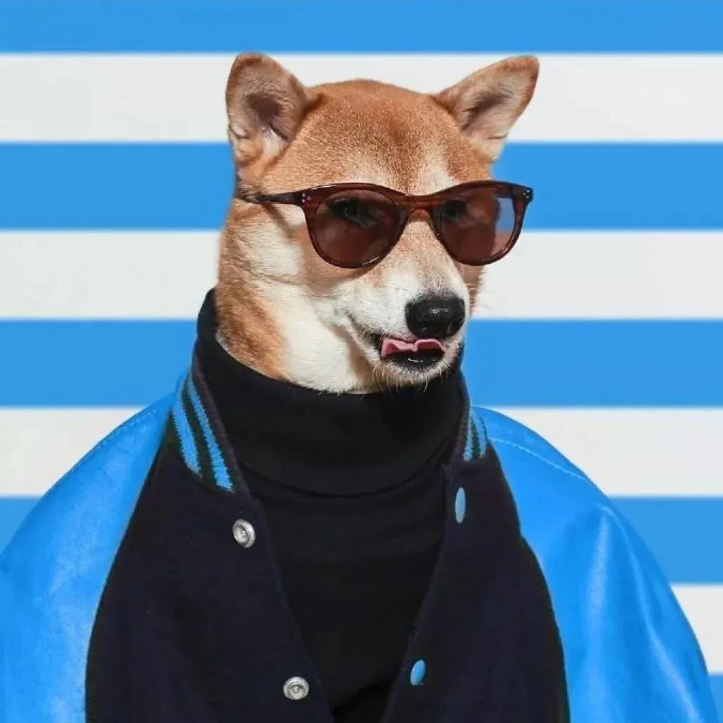 当你走狗1时,照片和谈话