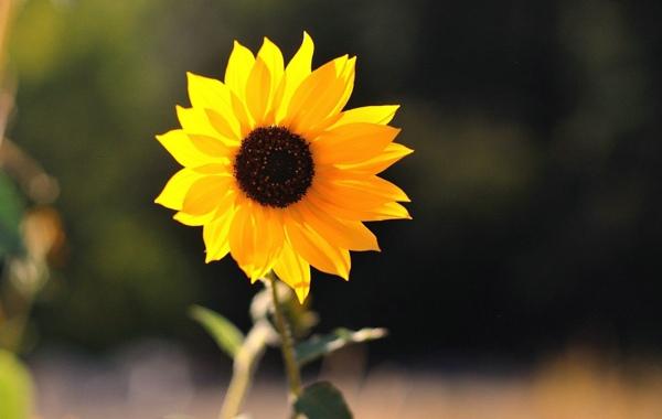 2021工厂启动励志口号