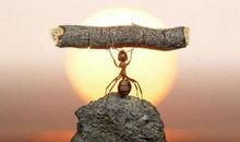 2021公司口号霸气押韵