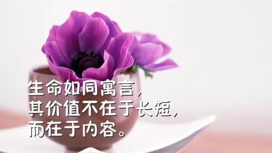 2020最独特的微信名称