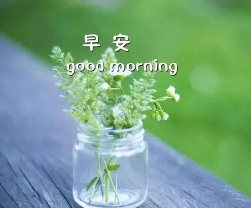 心情句子说说心情短语