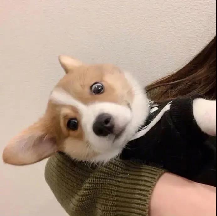 简单幸福的生活