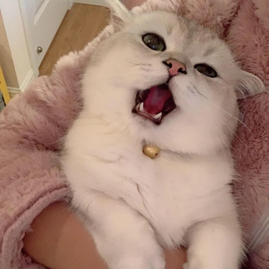 简单而幸福的生活心理句子1