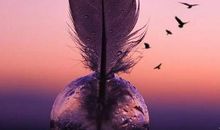 做好自己问心无愧的说说