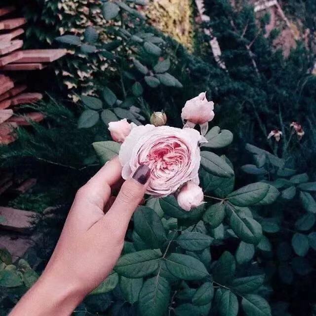 15.服务客户，种子金钱，增加信任，并继续续约。