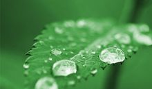 感叹虚伪的友情的句子