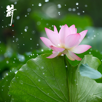 保持情感友谊的感觉1