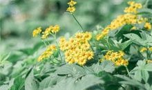 关于友情富有生活化的句子