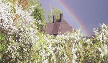 有关于背叛友情的句子说说心情