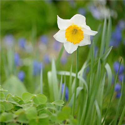 15，失去了东西，事实上，从来没有真正属于你，你也不要后悔。 （作者：））