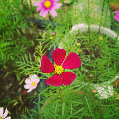 关于友谊的句子