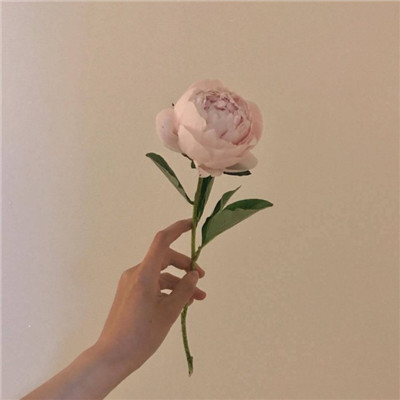 15，无论年份都有鲜花，交织在一起还是芬芳，心中有好奇心，生活的音乐，孩子真的不满意。每个人都有一个广播电台，只要它收到美丽希望的信号，快乐的勇气和力量，就能留在青春，风很长。