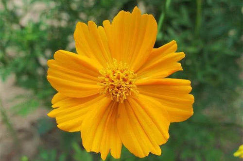 15，冬季，天气寒冷，露水也很冷，在这样的一天，你努力工作，你必须照顾好自己，不在乎，我希望我亲爱的朋友快乐！