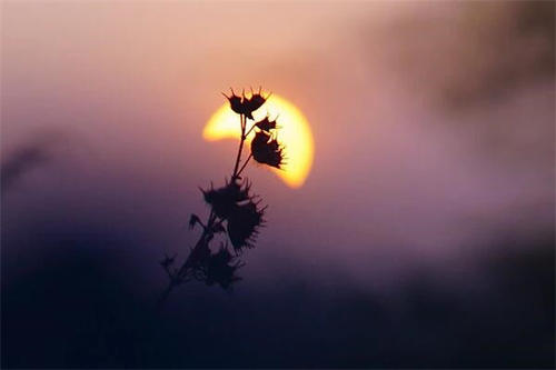 12月客户问候SMS 1