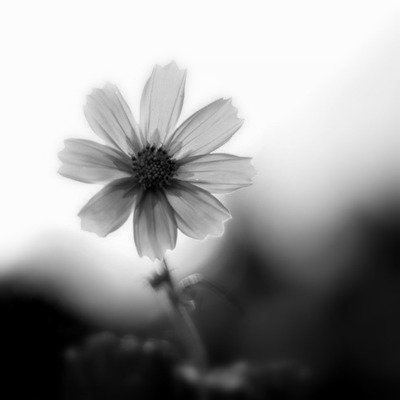 四十岁的女人看到友谊句子1