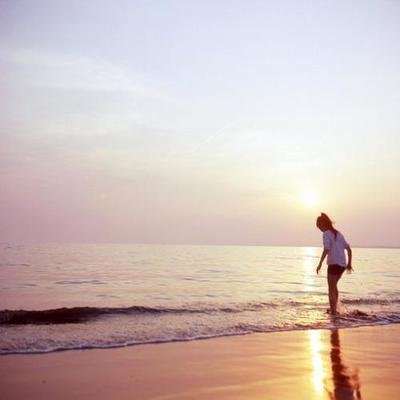 描述友谊,不仅仅是狗