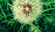 古诗友情的句子唯美的句子